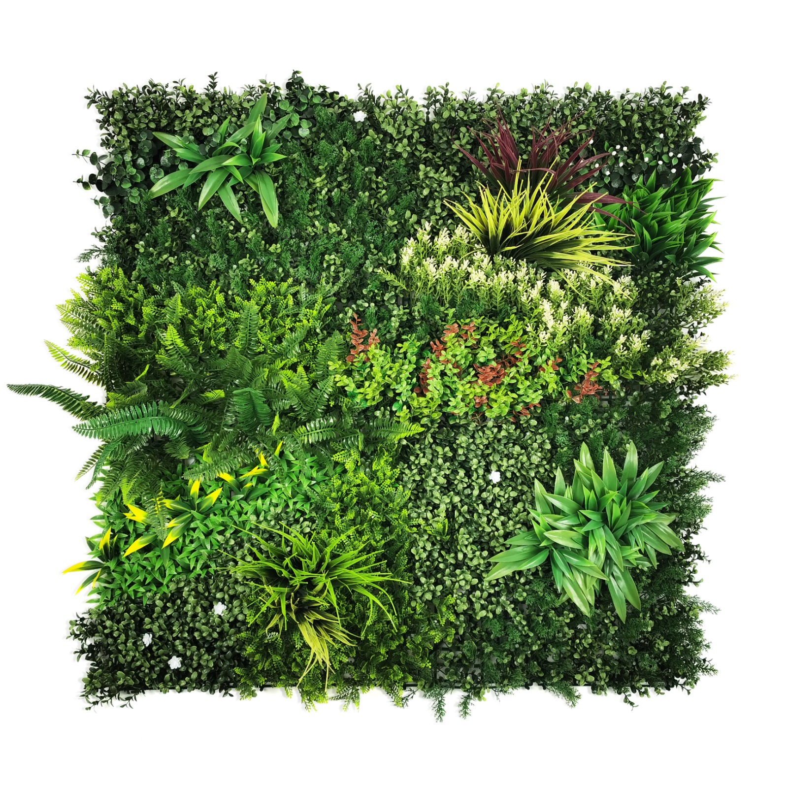 Wall Grass - COLOR MEADOW (1mtr × 1mtr, 10.764sft)